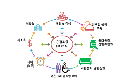 ‘근감소증’이 암보다 무섭다? 50대, 지금 당장 ‘근육 저축’ 하세요!